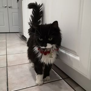 Meet your Posher, Melissa